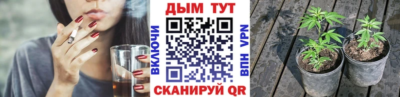 Купить наркотик Николаевск-на-Амуре Cocaine Гашиш Марихуана