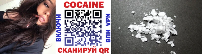 MEGA ТОР  продажа наркотиков  Николаевск-на-Амуре  COCAIN FishScale 