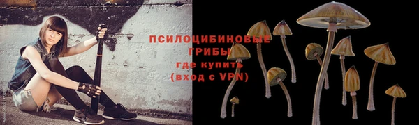марихуана Абинск