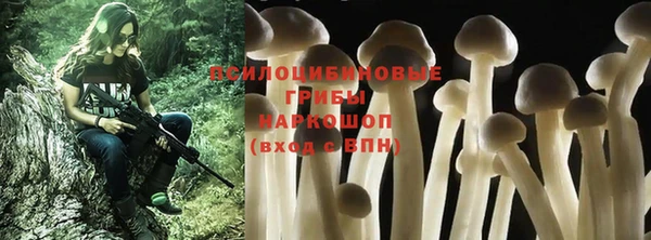 марки lsd Абаза