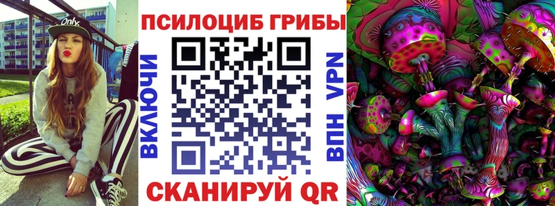 Псилоцибиновые грибы ЛСД  даркнет как зайти  Николаевск-на-Амуре  ссылка на мегу вход 