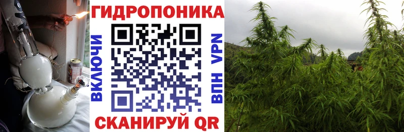 mega зеркало  Николаевск-на-Амуре  Канабис OG Kush 